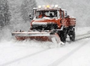 Rize'de 11 kişi yaylada mahsur kaldı