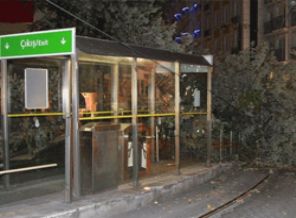 Tramvay yoluna ağaç devrildi