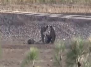 IŞİD, YPG'lileri böyle vurdu (Video)