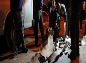 İsrail'de bombalı saldırı!