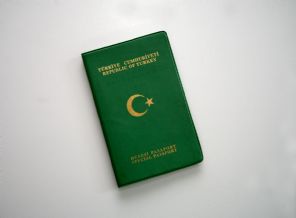 3. derecede iken ayrılan memur, yeşil pasaport alabilir mi?