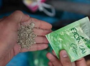 Bonzai bir gencin daha hayatını söndürdü