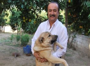 Bu köpeğin ismi İsrail'i kudurtacak!