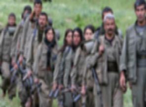 20 ayda ne kadar PKK'lı teslim oldu?