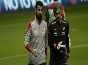 Volkan neden stada geri döndü?