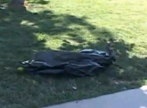 Bebek çöpe atıldı