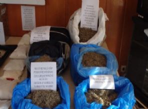 Hükümetten uyuşturucu ile mücadele planı