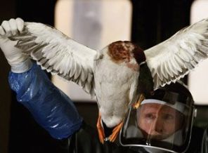 İngiltere'de kuş gribi alarmı