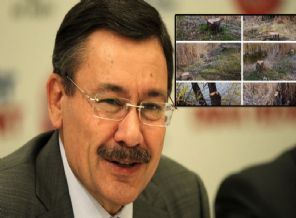 Melih Gökçek, ODTÜ'lüyü fena yakaladı