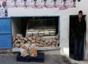 5 dil bilen öğretmen tavuk satıyor