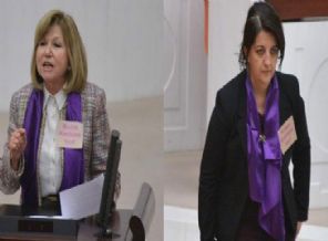 Meclis'te, kadına şiddete dikkat çektiler