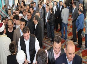 Hollanda’da camileri kapatma talebi