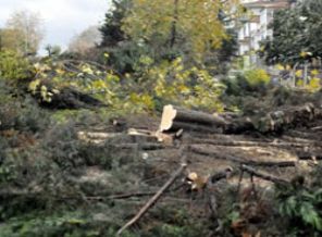 Hürriyet ve Radikal de CHP'liler ile izledi