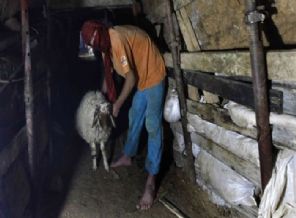 Paralelden Gazze'ye tünel ihaneti