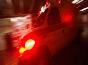 14 Suriyeli mantardan zehirlendi