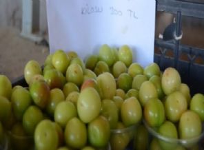 Bir kilo erik 300 lira!