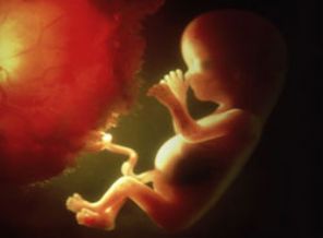 Anne karnındaki bebek görüntüsü şaşırttı