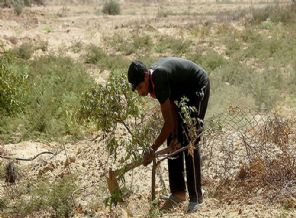İsrail Filistinlilerin tarım arazilerine ateş açtı