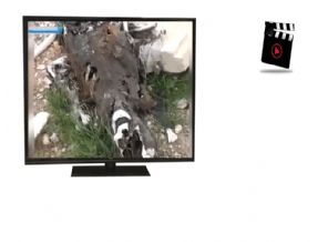 Halep'te katliam +21(Video)