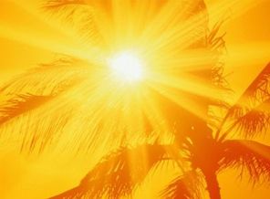 2014 yılı ile ilgili korkutan açıklama