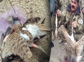 Taliban'ın kuş bombası yalan çıktı!