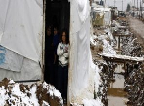 Suriyeliler için '1 Dolar' kampanyası