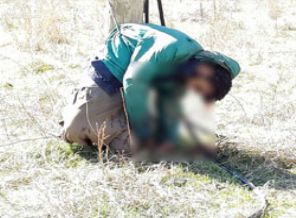 Köy korucusunun katil zanlısı tutuklandı