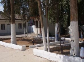 Reyhanlı belediyesi ağaç için yol değiştirdi