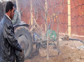 Doğu Guta'da kısıtlı imkanlarla tarım yapılıyor