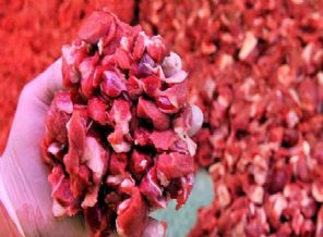 Devlet harekete geçti