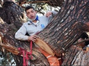 Kestiği ağacın gövdesinde sıkışan kişiyi 4 kepçe kurtardı