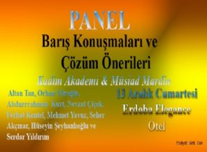 Çözüm süreci Mardin'de masaya yatırılacak