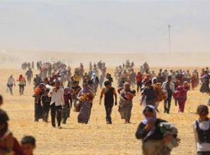 AA fotoğrafları Lahey'e belge olarak sunuldu