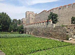 Yedikule bostanları planı reddedildi