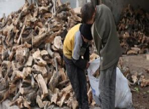 Haleplilerin 'Soğuk'la mücadelesi