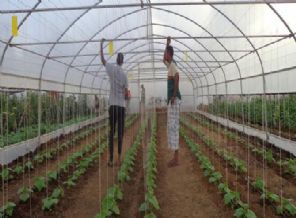 İHH’nın desteğiyle Somali’ye ilk ziraat üniversitesi