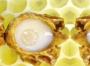 Bu sütün kilosu 5 bin lira