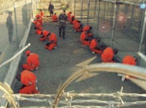 Her türlü hayvanlığı yapmışlar