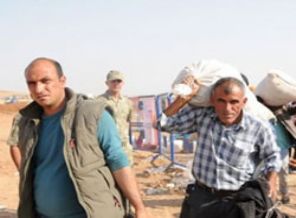 Kobanili sığınmacıların sayısı açıklandı