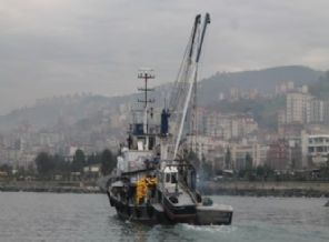 Trabzon'da balıkçılara hamsi şoku