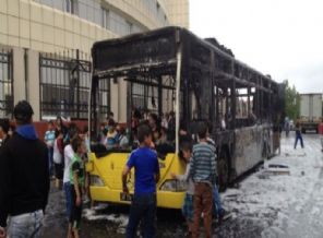 PKK'dan 'kamu düzeni' şartına olumlu cevap