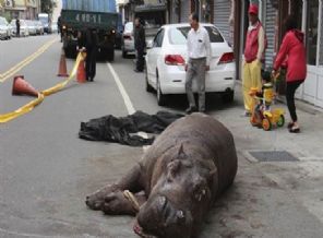 Bir anda yola düştü