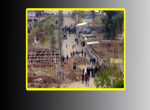 Cizre'de korkunç iddia