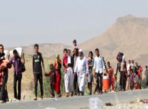 Korkutucu Yezidi rakamı açıklandı!
