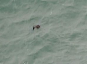 40'tan fazla ceset çıkarıldı