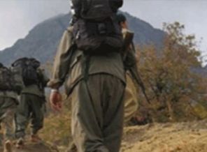 İki terörist teslim oldu