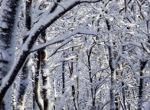İstanbul eksi 8 dereceyi görecek