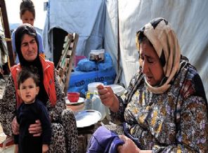 Kampların çilekeş anneleri
