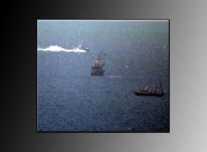 Bodrum açıklarında 2 kesik baş bulundu