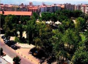 Fast-food için yüzlerce ağaç katledildi